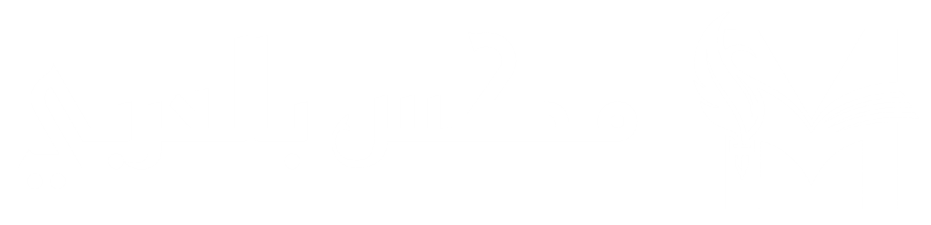 مكس بالعربي